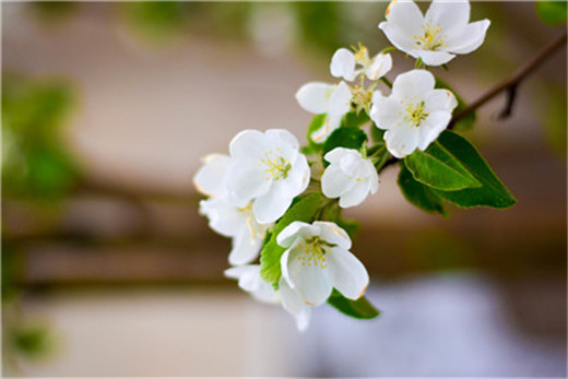 布置浴室风水 可巧妙利用盆栽和照明-易德轩风水设计网