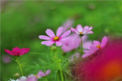 了解孩子卧房合理摆设 让孩子健康成长-易德轩风水设计网