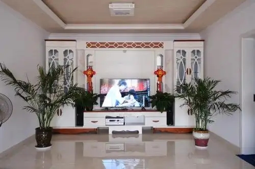 农村房屋开门餐厅客厅风水，一室两用格局佳！