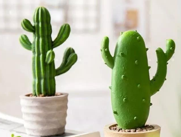 客厅风水不好 对女主人的影响很大