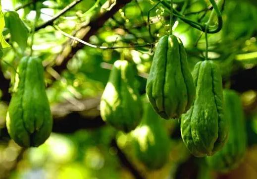 店铺货架的摆放风水禁忌-易德轩风水设计网