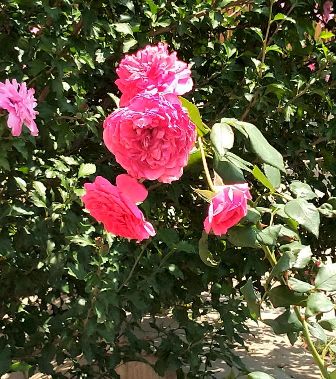 办公室不适宜摆放饮水机的地方-易德轩风水设计网