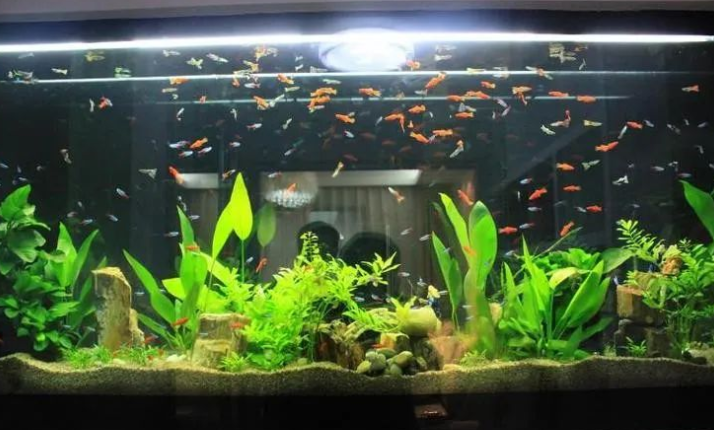 客厅装修风水的宜忌 客厅装修风水的宜忌