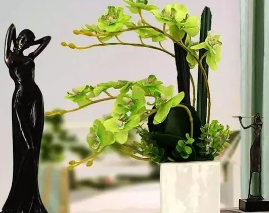 家中玄关摆放什么物品可旺财 家中玄关摆放什么物品可旺财