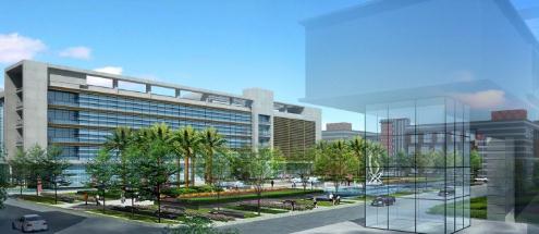 办公室风水植物的秘密-易德轩风水设计网