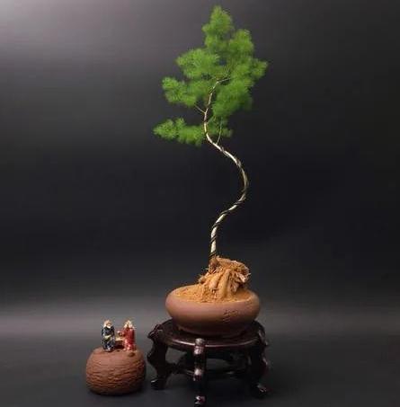 客厅花瓶的摆放风水-易德轩风水设计网 客厅花瓶的摆放风水-易德轩风水设计网