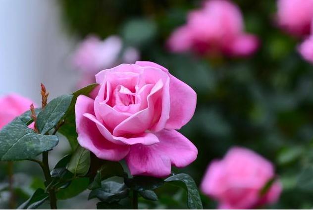 厨房的五行方位有什么风水方面的讲究吗？-易德轩风水设计网