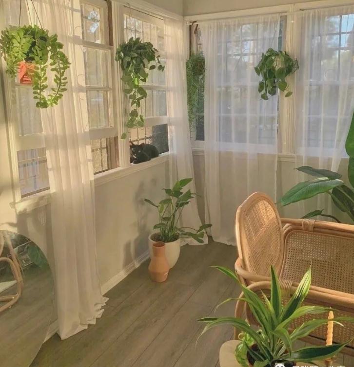 卧室养花风水禁忌知识-易德轩风水设计网