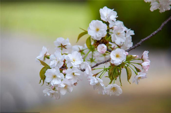 住宅窗户安装有什么风水要注意才能纳财旺运?-易德轩风水设计网 住宅窗户安装有什么风水要注意才能纳财旺运?-易德轩风水设计网