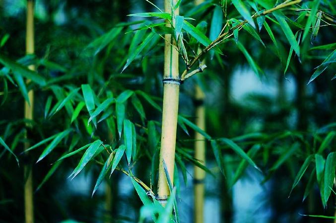 11种会让你破财生灾的餐桌布局-易德轩风水设计网 11种会让你破财生灾的餐桌布局-易德轩风水设计网