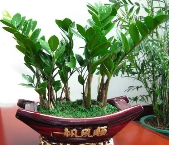 如何布局家居风水 才能招财