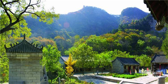 办公室放什么植物风水好？九大植物介绍-易德轩风水设计网