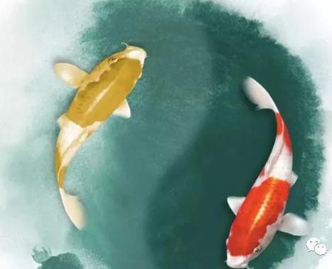 职员办公室风水布局 -易德轩风水设计网 职员办公室风水布局 -易德轩风水设计网