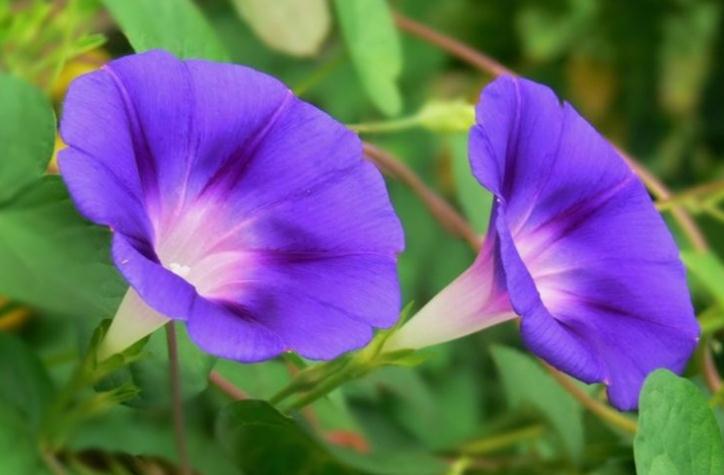 阳台风水知识,怎么打造阳台好风水?-易德轩风水设计网 阳台风水知识,怎么打造阳台好风水?-易德轩风水设计网