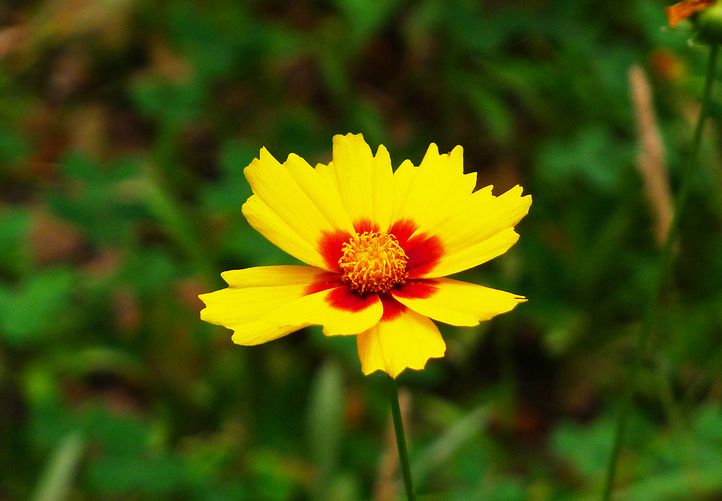 办公室怎么样设计风水才好？-易德轩风水设计网