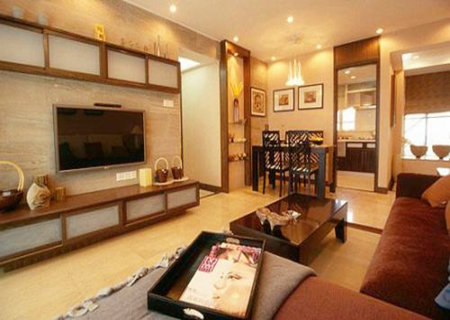 客厅东南角放什么招财？提升家庭财运的秘诀