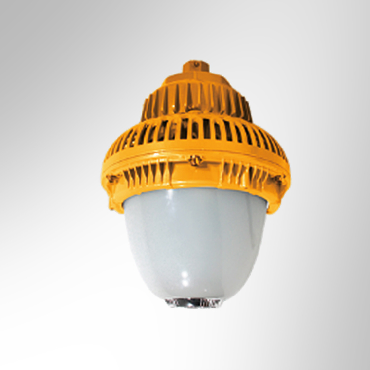 TS-GCD814   环照型LED防爆灯
