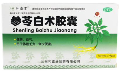 10668和盛堂  参苓白术胶囊  0.5g*24粒/盒