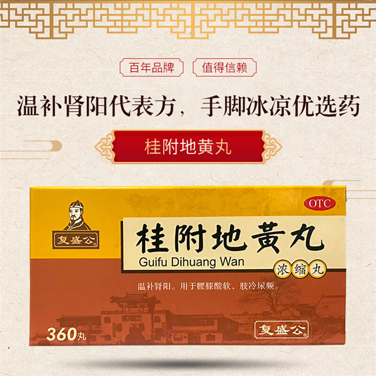 20268复盛公 桂附地黄丸（浓缩丸）360丸/盒