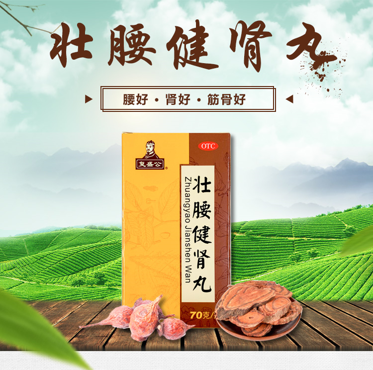 20483复盛公 壮腰健肾丸  70克/瓶