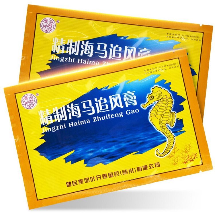 51363健民 精制海马追风膏 5片/袋