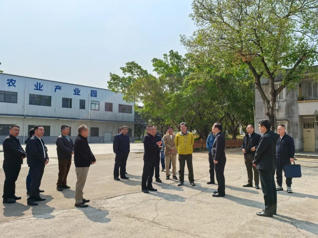 廣東省林業(yè)局率隊(duì)至清新區(qū) 共探森林藥材產(chǎn)業(yè)新未來(lái)