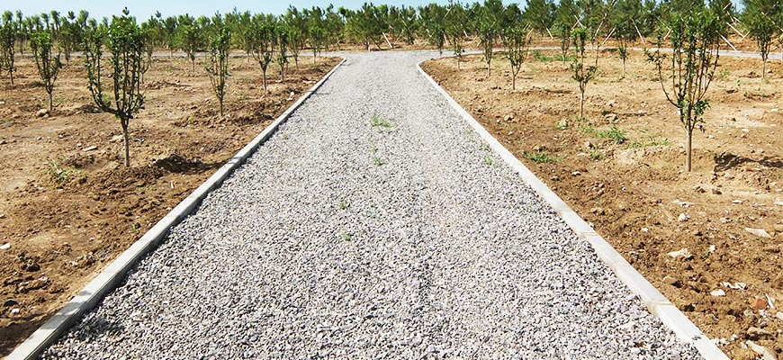 垃圾填埋场治理绿化施工