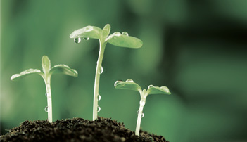 垃圾处理资源化利用