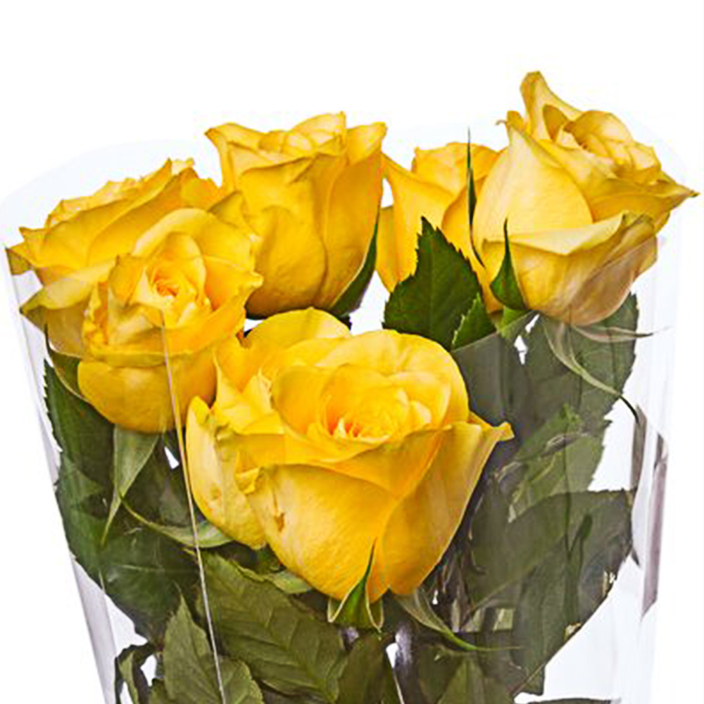 Hot sale flower food wrapping paper cellophane