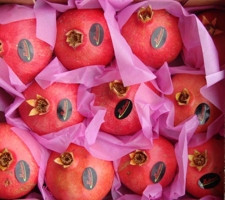 High quality luxury fruit gift custom print white wrapping paper