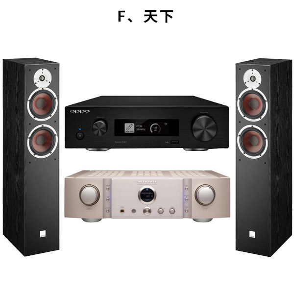 F、天下 別墅 HIFI音樂室