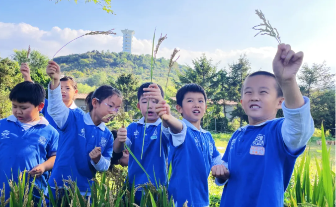 田野守望者——三年级研学实践活动