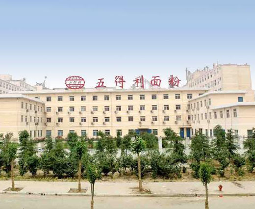 亳州市五得利集团亳州面粉有限公司
