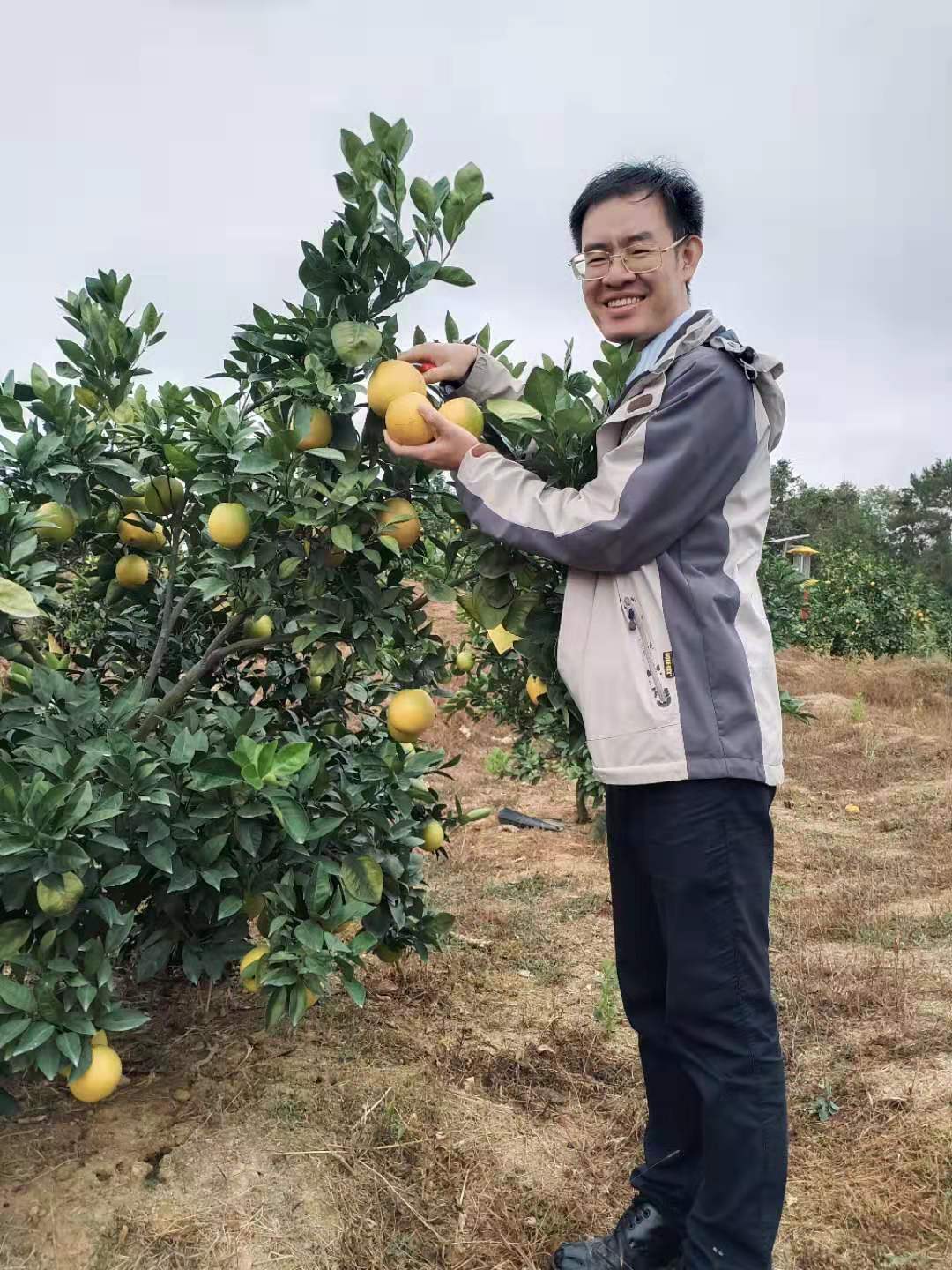 赣南脐橙江西橙子有什么营养价值？