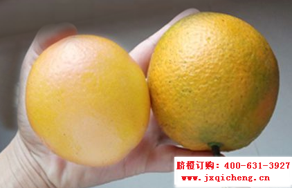 赣南脐橙江西脐橙时令鲜水果橙子 赣南脐橙江西脐橙时令鲜水果橙子