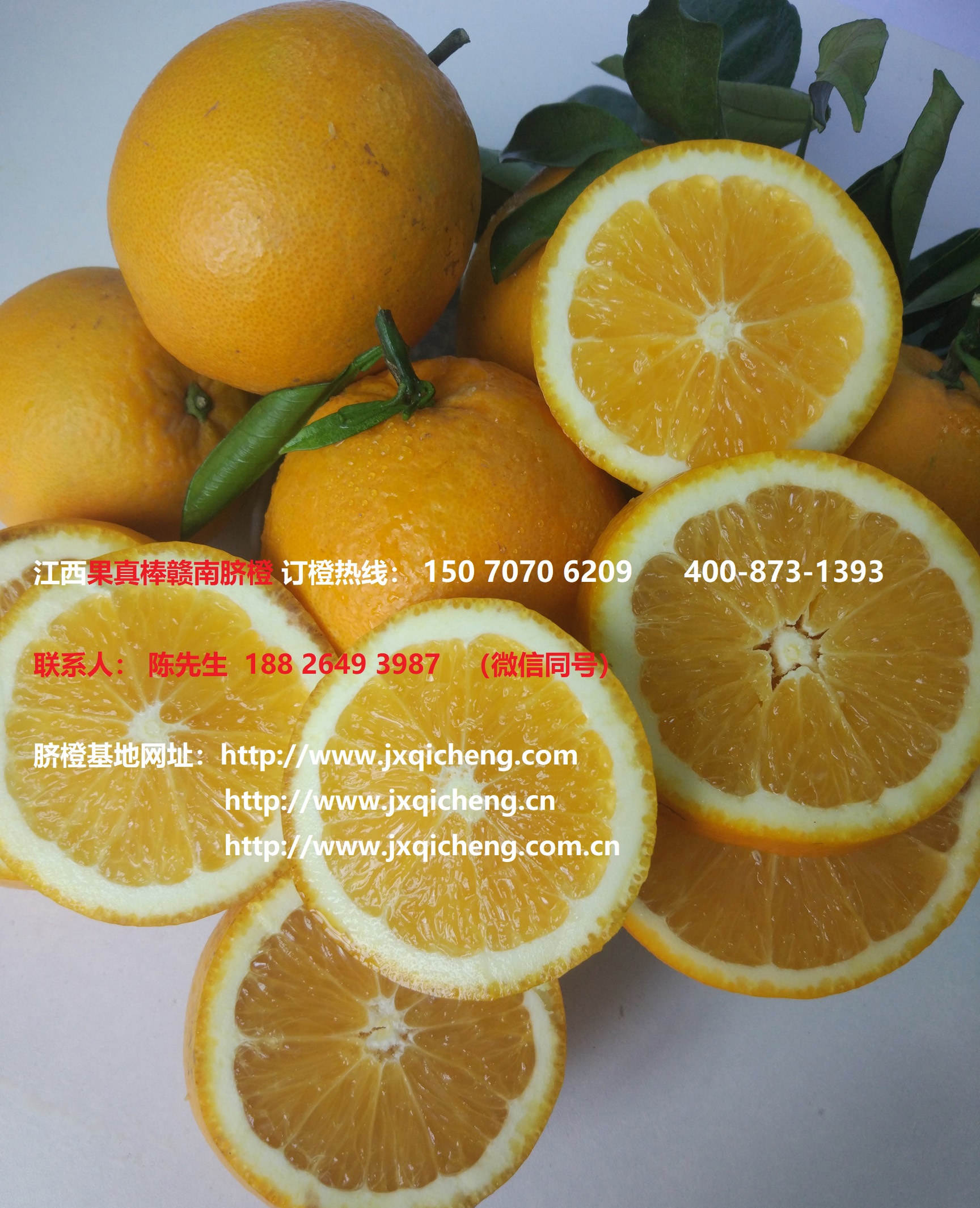 脐橙|赣南脐橙|江西鲜橙几月份上市？11月1日起开园采摘