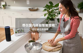 想在国内体验AI智能音箱?你还有这些选择