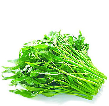 【博白空心菜】博白蕹菜，即博白空心菜，广西壮族自治区玉林市博白县特产，中国国家地理标志产品, 5.6元/斤 100斤起批