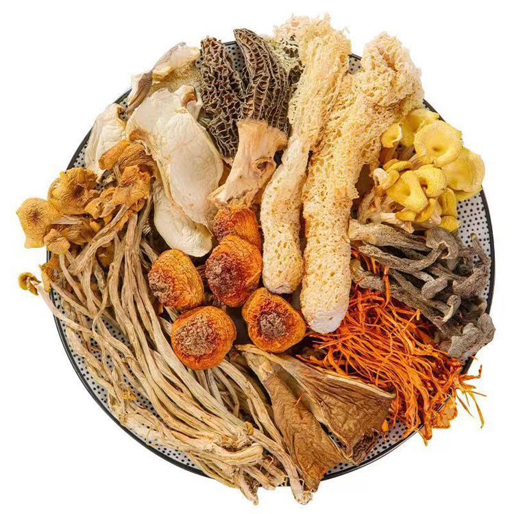 【九珍菌菇汤】四季滋补养生汤 松茸羊肚菌煲汤食材 宁可食无肉 不可食无汤 科学搭配 轻滋养慢滋补