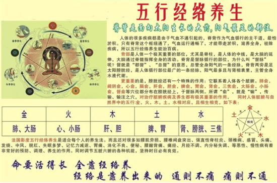 【中医五行减肥方法对症治疗】