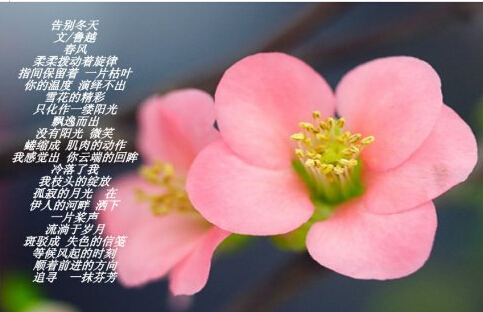 【不以名累，安之若素】