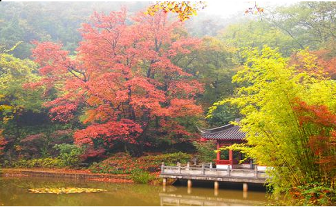 【九月养生】