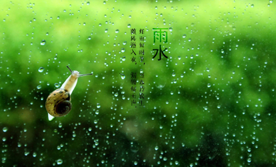 【雨水养生】