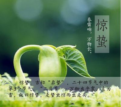 【惊蛰养生】