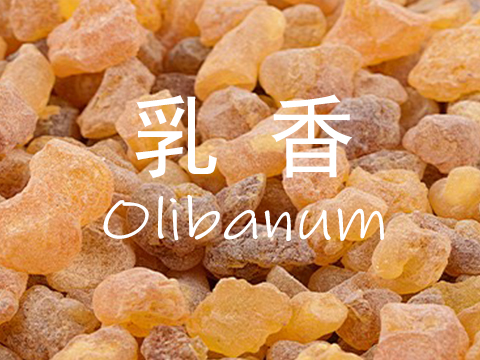【乳香Olibanum】单方精油