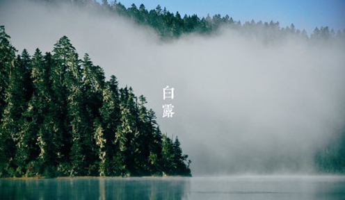 【白露养生】