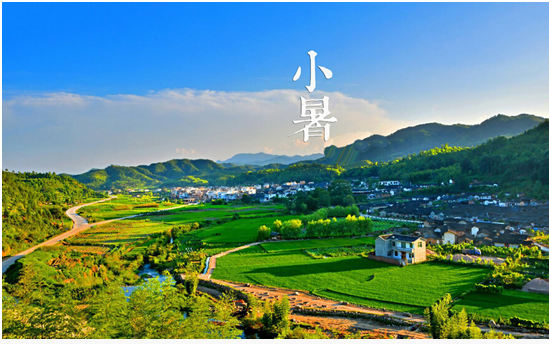 【小暑养生】