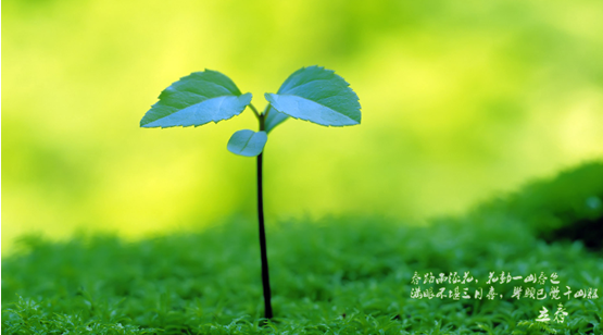 【立春节日养生】