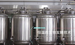 豆状元