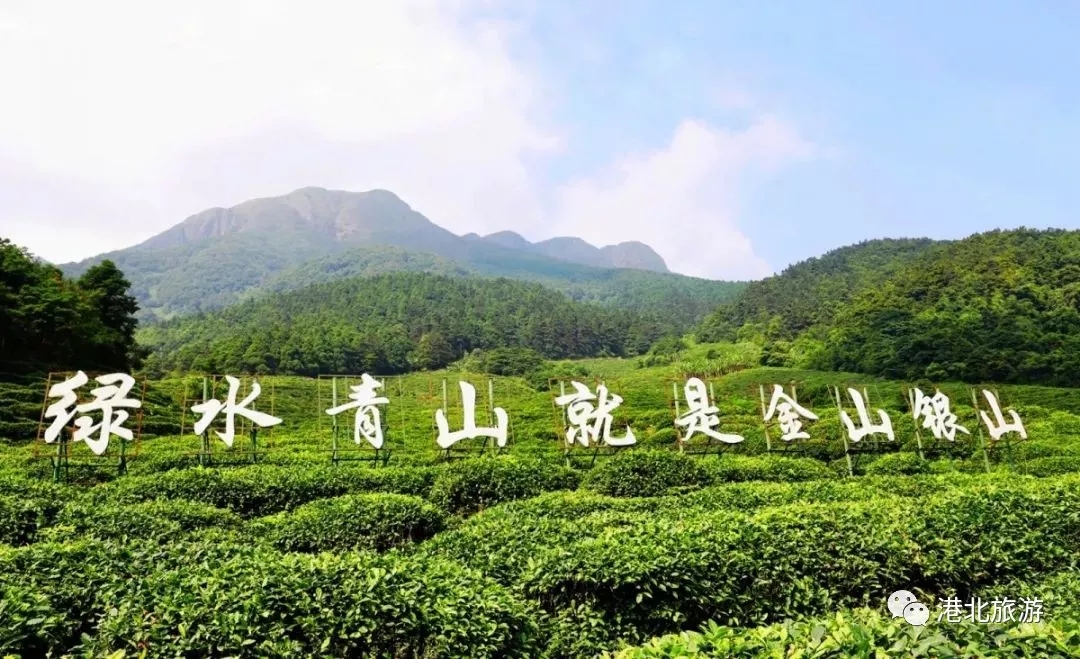 哇！港北区又多了一个国家AAAA级景区！